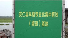 省早稻推进调研指导组到我县调研指导早稻生产工作