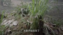 马晓云赴任之前祭奠哥哥，向阴阳相隔的哥哥哥报告好消息