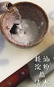 教你做木须肉，优质蛋白食谱，简单营养丰富，厨房小白菜谱！