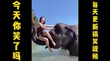 搞笑视频：难道大象不喜欢美女，怎么下这样的毒手呢！！