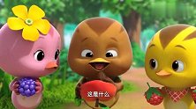 萌鸡小队：萌鸡们野餐，大宇看见桃核很稀奇，都没见过吗