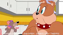 新猫和老鼠-布奇胆子真大，敢惹斯派克