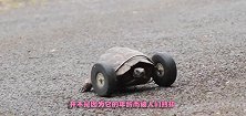 乌龟冬眠被老鼠吃掉两条腿装上轮子后，速度太快反而不适应