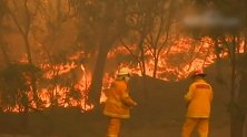 还在烧！澳大利亚东部林火难控制