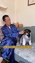 前几天没给斑比买衣服的后续来了，我爸竟然真的去给斑比定制了三套衣服…… 爱宠来狂欢  萌宠出道计划