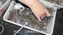 山东日照码头，一到天黑海鲜就论盆卖，渔民大姐说就差白送了