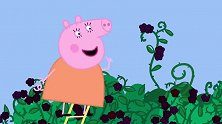 小猪佩奇：猪爷爷去摘黑莓，却不让猪妈妈动，摘她身上的黑莓！