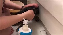 猫咪真幸福，跟主人一起泡澡，网友：放开让我来