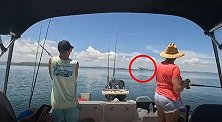 新西兰男子钓鱼时钓上三米长大白鲨 拍下鲨鱼跳出水面瞬间
