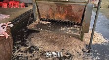 皖东农村霸气老鹅馆，厨房像加工厂一锅卤50只，日卖100多只