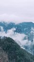 天子山老屋场的云海