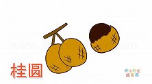 水果简笔画大全，画饱满的桂圆简笔画