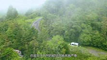 世界上最孤独的动物，繁殖失败后濒临灭绝，全球仅剩下3只！