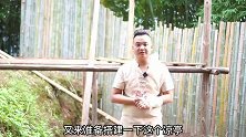 受伤第八天还不是待不住了，恢复改造工作