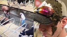 小伙清理牛棚遇烦心事：奶牛便意突来喷了一脸