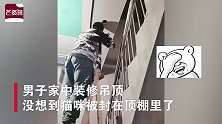 男子装修吊顶不慎把猫封里面了，网友看后笑喷：这监控哪买的？