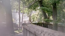 我们的校园生活