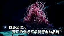 “心有成竹行有岚图”VOYAHi-dLand概念车全球首发