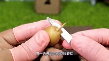 超受日本小孩喜欢的一种趣味食玩：迷你龙卷风土豆！好吃又好玩！