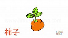 水果简笔画大全，画柿子简笔画