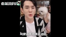李佳琦录制高德地图导航语音：700句台词明星录3天，我录7小时！