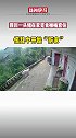 9月20日，四川宜宾，猪在院内找食不慎头套桶内，下一秒“拆家”撞塌围墙。四川 猪