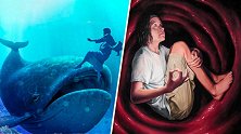 4个最奇怪的问题，人真能被鲸鱼吞掉吗，活下来的可能性有多大？