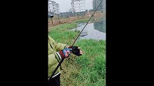 萌狮大赏 冬季钓草洞，这样钓效果非常好！