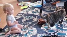 萌宝，你趴在猫咪的后面，是想抓住他放的尾巴吗