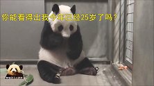 相当于人类93岁的熊猫旦旦在线圈粉，依旧童颜不改，太萌了！