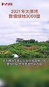 2021年太原将新增绿地3000亩山西 太原 绿地