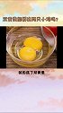 儿童科普双黄蛋能孵出两只小鸡吗？ 学浪计划