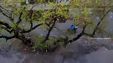五月雨夹雪？哈尔滨网友：吓得我拿出了刚收好的秋裤