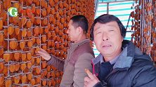 柿饼制作风量控制好，出霜快，品质好