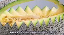 哈密瓜有瓜中之王美称，营养价值高，宝宝常吃长得快抵抗力强