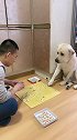 主人跟老四下象棋，看老四的反应可爱了，都忍住别笑