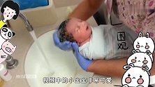 头发非常浓密的新生儿，被护士抱着洗头时超乖巧