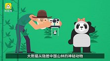 全世界的熊猫都是中国籍，除了她俩