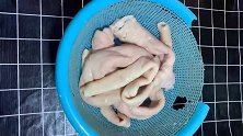 这样做的猪大肠，你吃过吗
