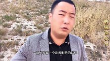 农村老人们晚年如何？这是多少老农命运缩影，来自内心深处的声音