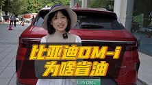 比亚迪DM-i混动这么省油 到底有什么猫腻？