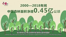中国精神——前人栽树后人乘凉精神
