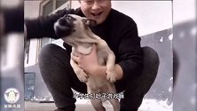 这就是网络喷子的真实写照，太搞笑了