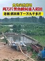 江苏苏州：鱼池突然崩塌，两万斤黑鱼瞬间涌入稻田