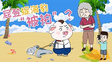 屁登捉海豹