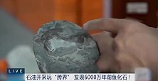 油田版三星堆宝藏上新了 江苏油田发现6000万岁鱼化石