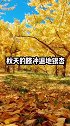 国内5大最美秋色，最美的还是新疆禾木