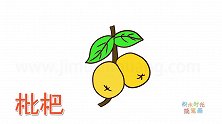 水果简笔画大全，画非常简单的枇杷简笔画