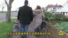 站高两米多的大丹犬成世界最大狗，只能半夜遛弯