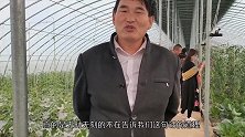 大衣哥儿媳妇回门又遭围观拍摄，大衣嫂怒斥拍摄者，村民却耍无赖